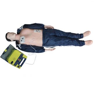 Basic Life Support, BLS Manikin (CPR & AED Simulator)